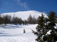 Ciaspolata al Torcola Vaga e dintorni il 25 gennaio 2009  - FOTOGALLERY